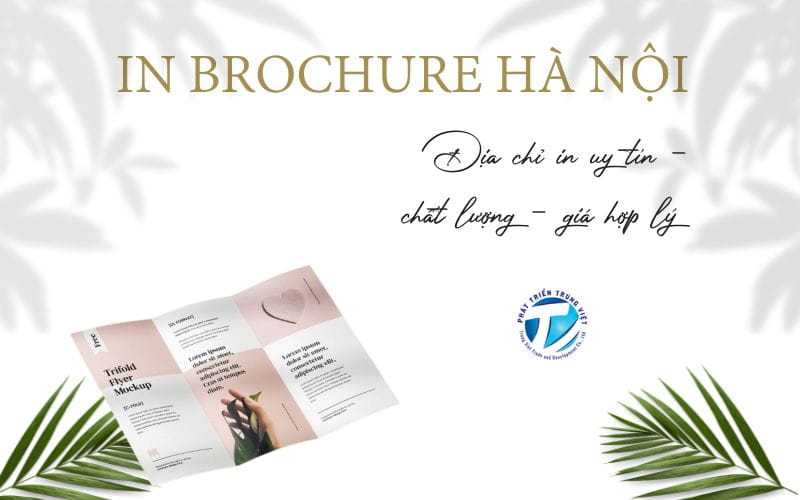 In brochure Hà Nội - Địa chỉ in uy tín - chất lượng - giá hợp lý